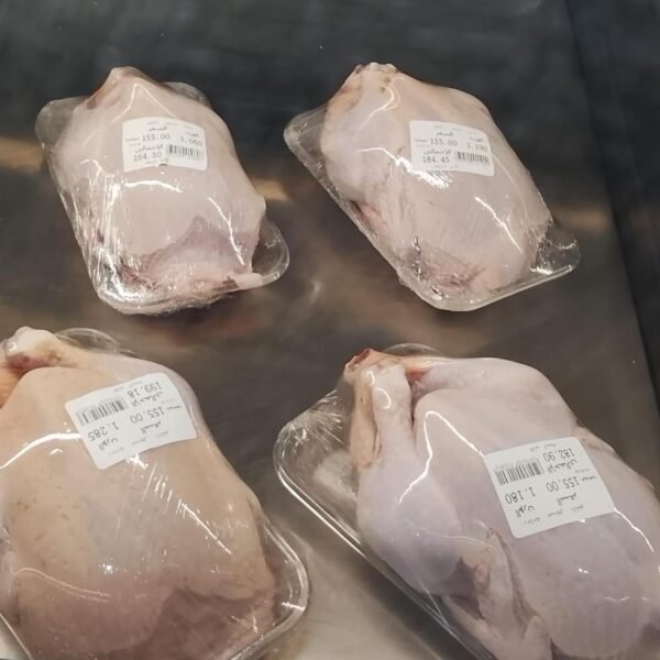 645420877 122103237789272258 2704203316037159458 n 600x600