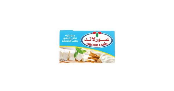 عبور لاند بطعم القشطه 250جم